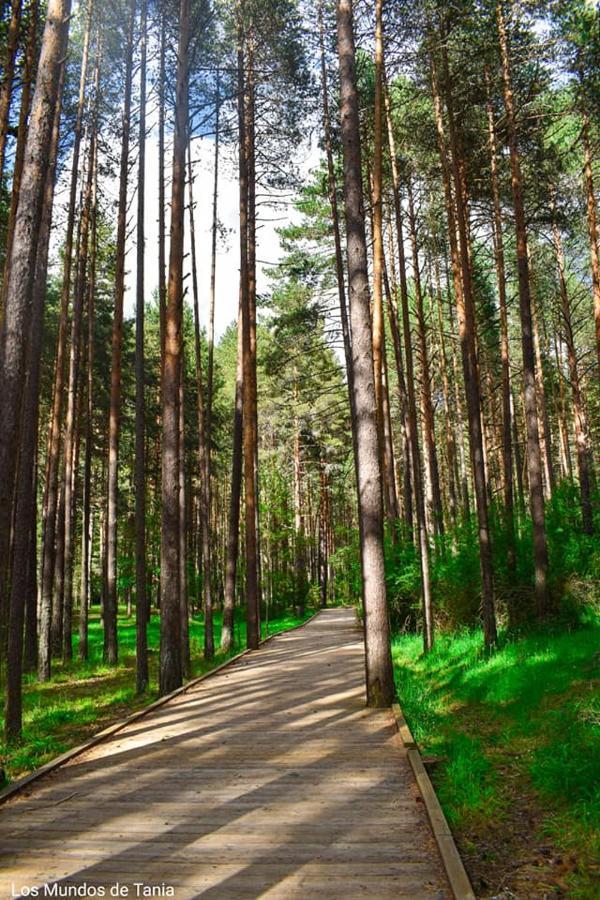 Alojamiento Rural El Morenal Tragacete Bagian luar foto